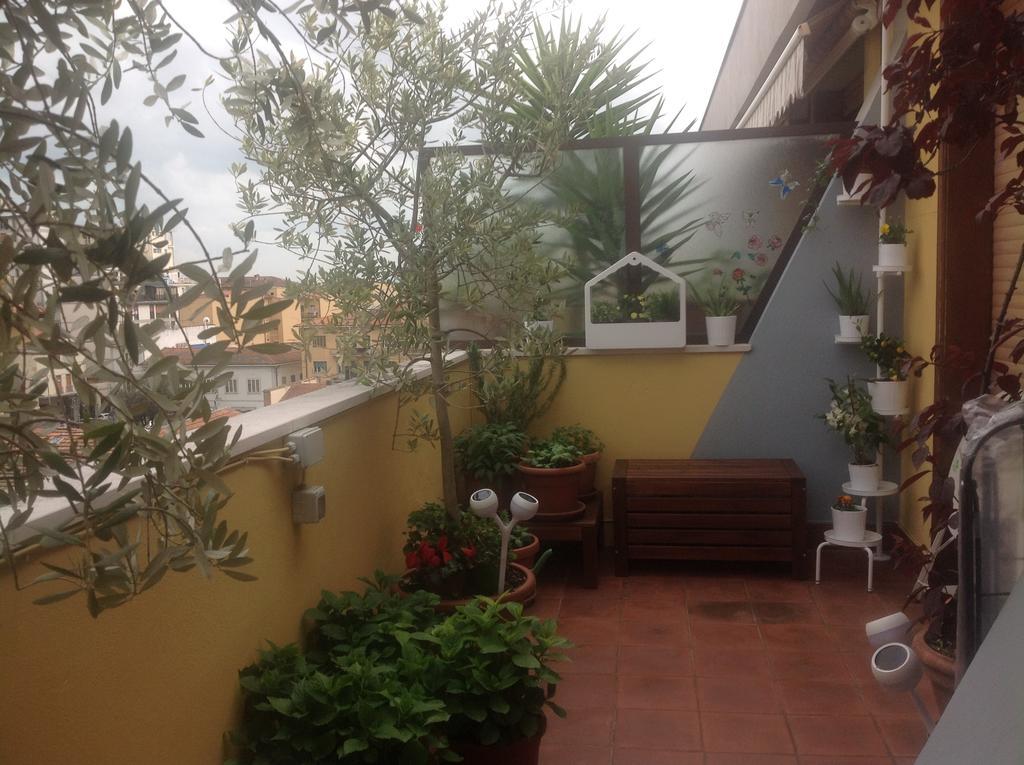 פיזה B&B Dei Cavalieri מראה חיצוני תמונה
